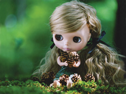 080711_PCYA_sia.jpg