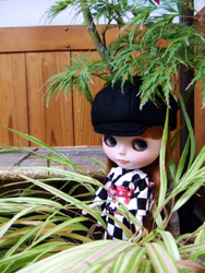 081110_ANI_osb.jpg