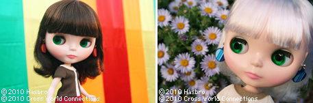 101115_SCB4_sqi.jpg